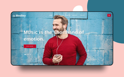 Medley Entertainment Category Bootstrap Responsive Web Template