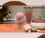 Ice Cream Hotel Category Bootstrap Responsive Web Template