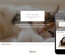 Pets House a Animal Category Flat Bootstrap Responsive  Web Template