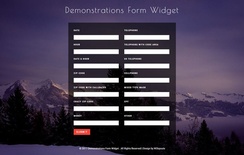 Demonstrations Form Widget Flat Responsive Widget Template