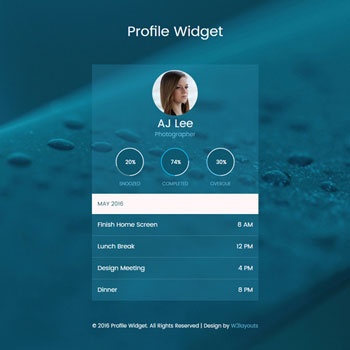 Delightful Profile Flat Responsive Widget Template