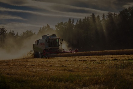 Grains an Agriculture Category Bootstrap Responsive Web Template