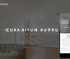 Bedizen a Furniture Category Flat Bootstrap Responsive Web Template