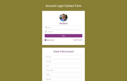 Account Login Contact Form Widget  Responsive Widget Template