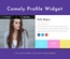 Comely Profile Widget Responsive Widget Template