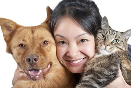 4Pets animals Mobile Website Template