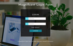 Magnificent Login Form a Responsive Widget Template