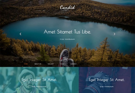 Vitae a Personal Websites Flat Bootstrap Responsive Web Template