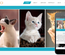 Gato a Animal Category Flat Bootstrap Responsive Web Template