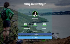 Sharp Profile Flat Responsive Widget Template