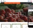 Bio Farm an Agriculture Category Bootstrap Responsive Web Template