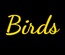 Birds a Animal Category Flat Bootstrap Responsive Web Template