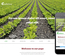 Cultive an Agriculture Category Flat Bootstrap Responsive Web Template