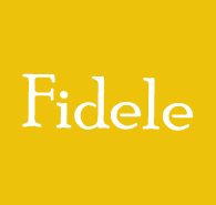 Fidele a Animal Category Flat Bootstrap Responsive Web Template