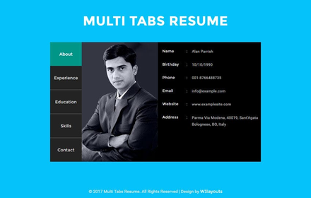 Multi Tabs Resume Widget a Flat Responsive Widget Template