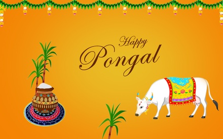 Pongal Sale a Newsletter Responsive Web Template