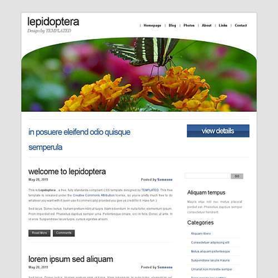 Lepidoptera: CSS Templates | TEMPLATED