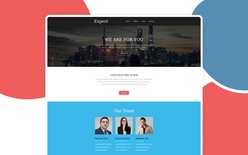 Expert a Newsletter Template