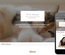 Pets House a Animal Category Flat Bootstrap Responsive  Web Template