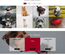 Lovely Pets Animals Category Bootstrap Responsive Web Template