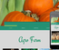 Agro farm an agricultural Mobile Website Template