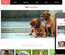 Pet Kennel a Animal Category Flat Bootstrap Responsive Web Template