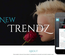 New Trendz a Fashion Category Flat Bootstrap Responsive Web Template