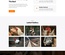 Poultry Field a website template for poultry farming