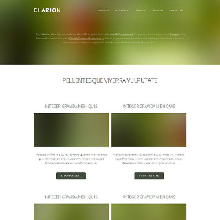 Clarion: CSS Templates | TEMPLATED