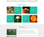 Agrox a Agriculture Category Responsive Web Template