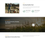 Agrowfarm an agriculture related website template