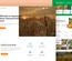 Farmstead Website Template