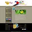 Business Template