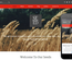 Seed a Agriculture Category Flat Bootstrap Responsive Web Template