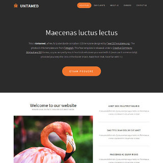 Untamed: CSS Templates | TEMPLATED