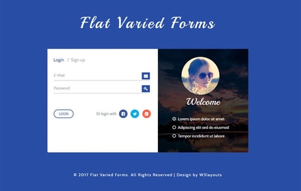 Flat Varied Forms a Flat Responsive Widget Template