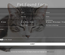 Pet Found Form a Flat Responsive Widget Template