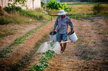 Sowing Agriculture Category Bootstrap Responsive Web Template