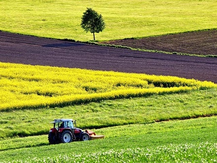 Farmland an Agriculture Category Flat Bootstrap Responsive Web Template