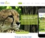 Wild Nature a Animal Category Flat Bootstrap Responsive Web Template