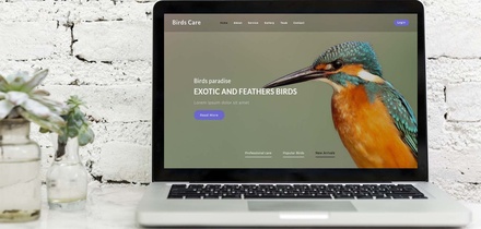 Birds Care – Animals Category Bootstrap Responsive Web Template