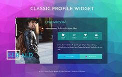 Classic Profile Widget Flat Responsive Widget Template