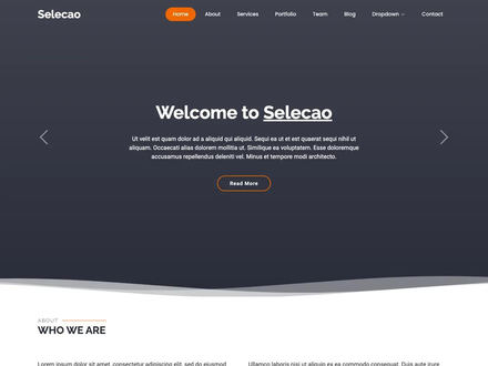 Selecao - Agency Bootstrap Template | BootstrapMade