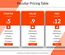 Peculiar Pricing Table Responsive Widget Template