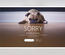 Pug Error Page Widget Template