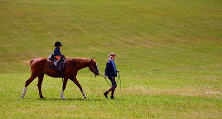 Horse Riding Sports Category Bootstrap Responsive Web Template