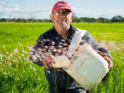 Agronomics an Agriculture Category Flat Bootstrap Responsive Web Template