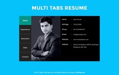 Multi Tabs Resume Widget a Flat Responsive Widget Template