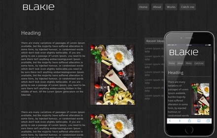 Blakie – Free Web and Mobile Website Template