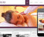 Renew Spa Beauty Parlour- Mobile Website Template